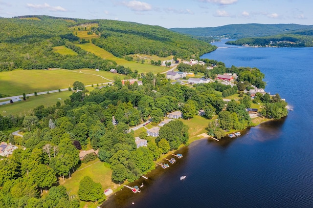 bird's eye view with a water and mountain view