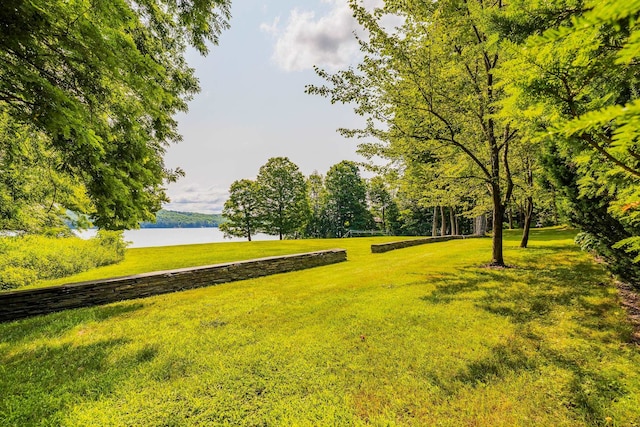 view of property's community with a water view and a yard