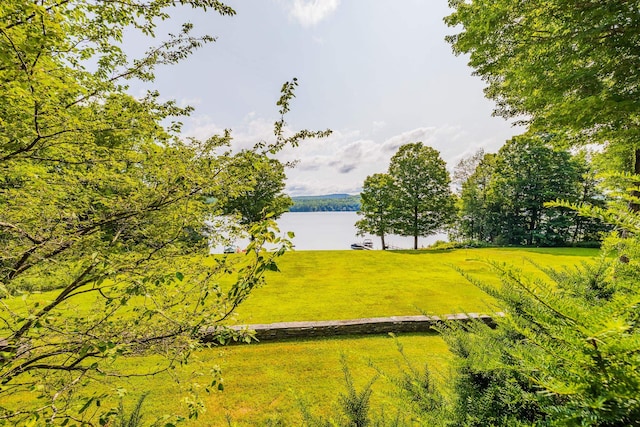 view of property's community with a water view and a yard