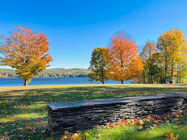 view of property's community featuring a yard and a water view