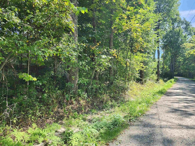 304 Cobb Rd, Andover VT, 05143 land for sale