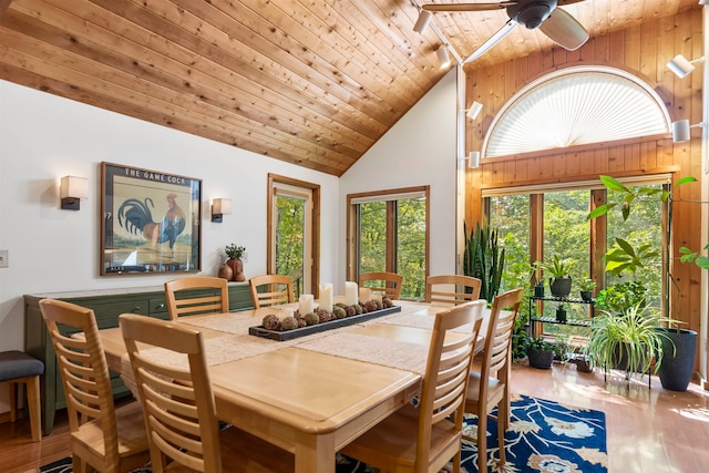 dining space with wood walls, light hardwood / wood-style floors, and plenty of natural light