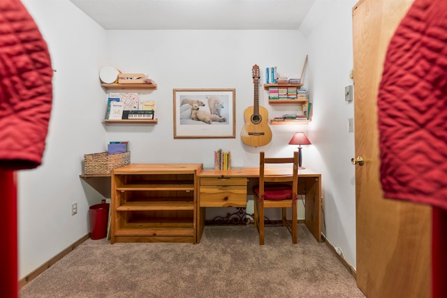 office area featuring carpet floors