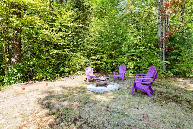 view of yard with an outdoor fire pit