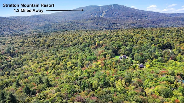 property view of mountains