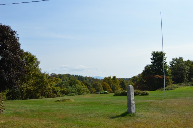 view of home's community with a lawn