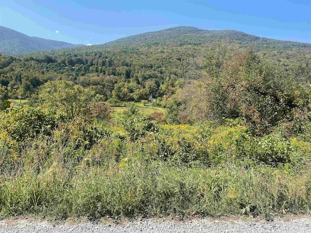 0 Vt Rte 313 W, Arlington VT, 05250 land for sale