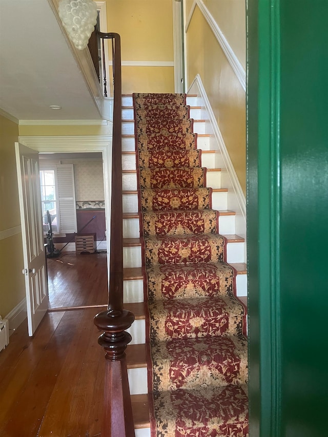 stairs with ornamental molding and hardwood / wood-style flooring