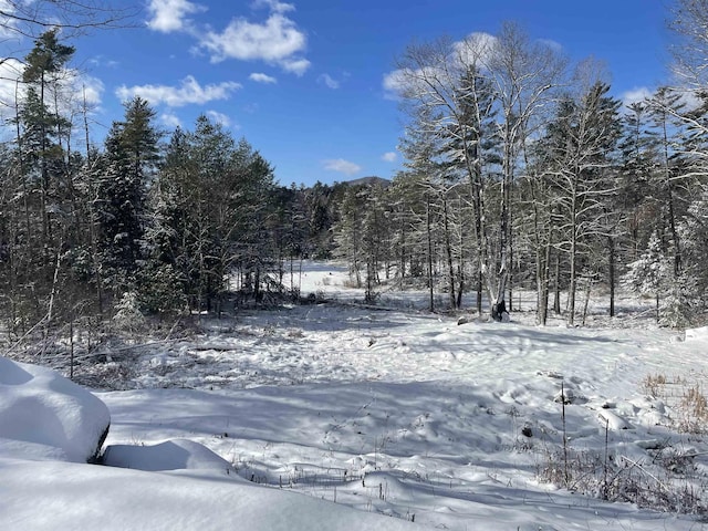 view of yard layered in snow