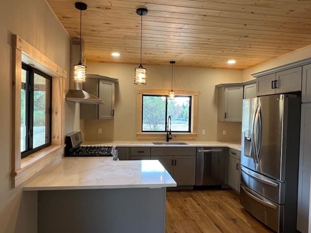 kitchen featuring appliances with stainless steel finishes, gray cabinetry, sink, pendant lighting, and hardwood / wood-style floors