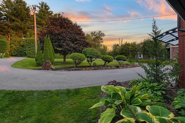 view of yard at dusk