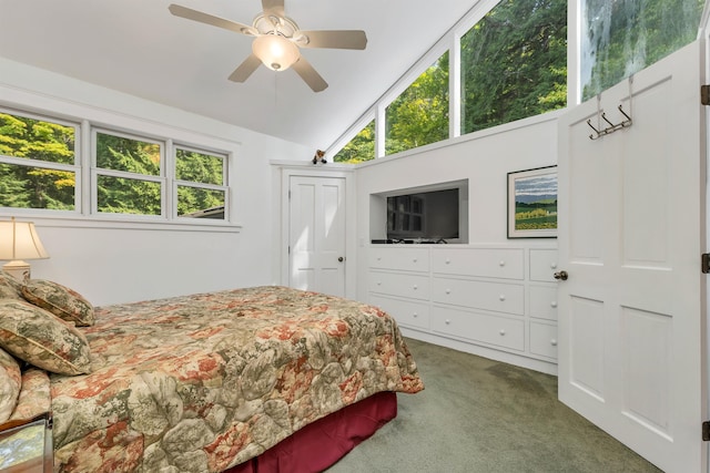 carpeted bedroom featuring multiple windows, lofted ceiling, and ceiling fan