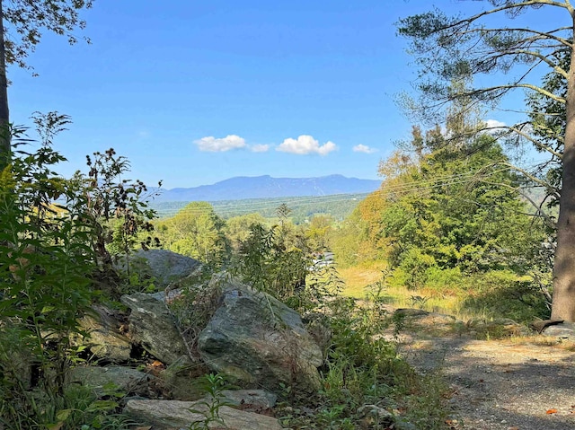 view of mountain feature