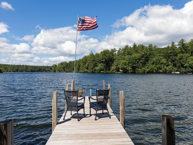 view of dock with a water view and a wooded view