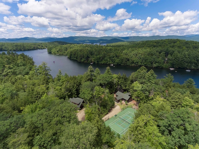 bird's eye view with a view of trees and a water and mountain view