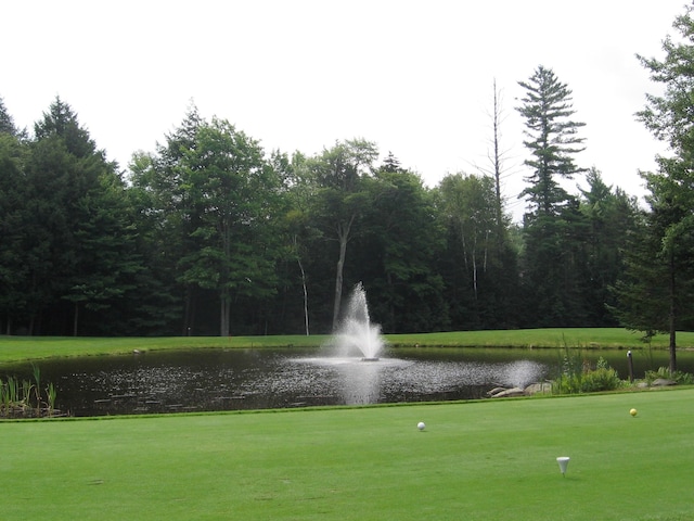 view of community with a water view and a lawn