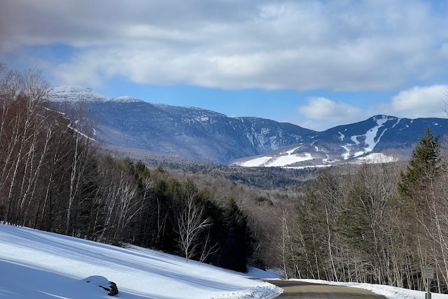 view of mountain feature