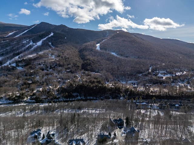 89 Flume Rd, Lincoln NH, 03251 land for sale