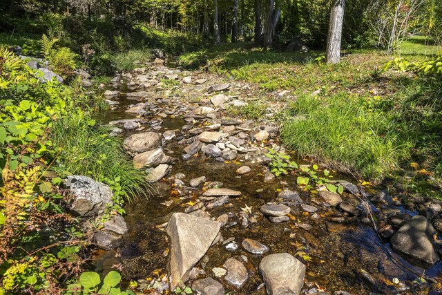 27 Lawrence Hill Rd Unit 5, Weston, VT 05161 - view of local wilderness