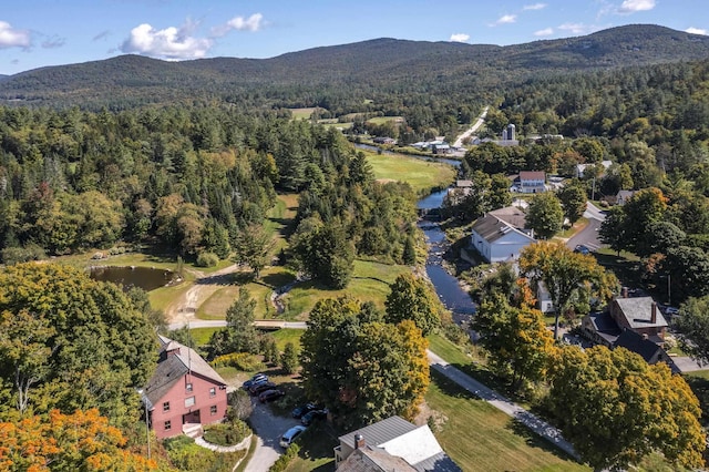 27 Lawrence Hill Rd Unit 5, Weston, VT 05161 - aerial view of property's location with a forest and a water and mountain view