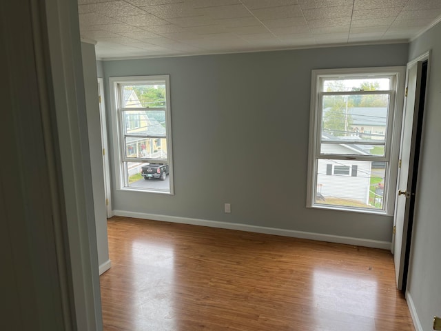 unfurnished room featuring light hardwood / wood-style floors and plenty of natural light