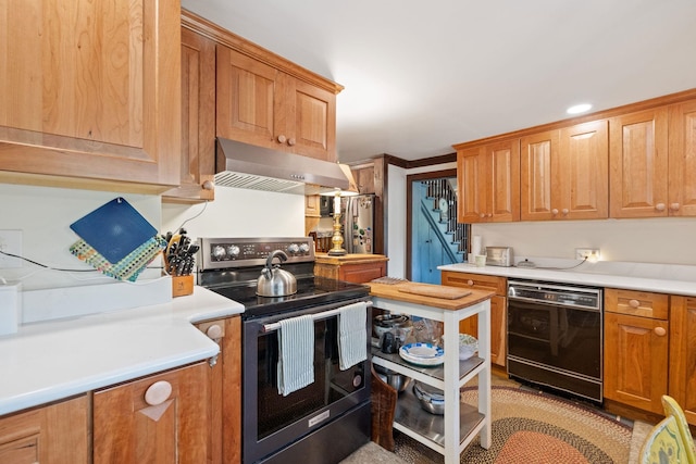 kitchen featuring dishwasher and stainless steel electric range oven