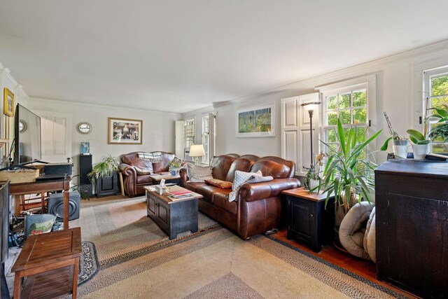 living room with crown molding