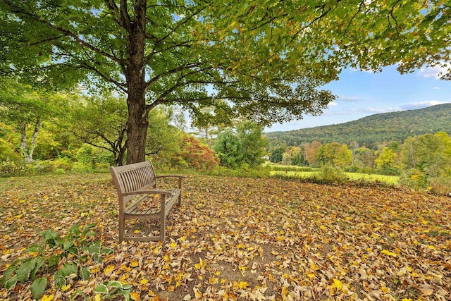 view of yard with a mountain view