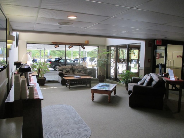 carpeted living room with a drop ceiling and plenty of natural light