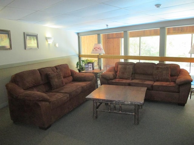 living room with carpet flooring