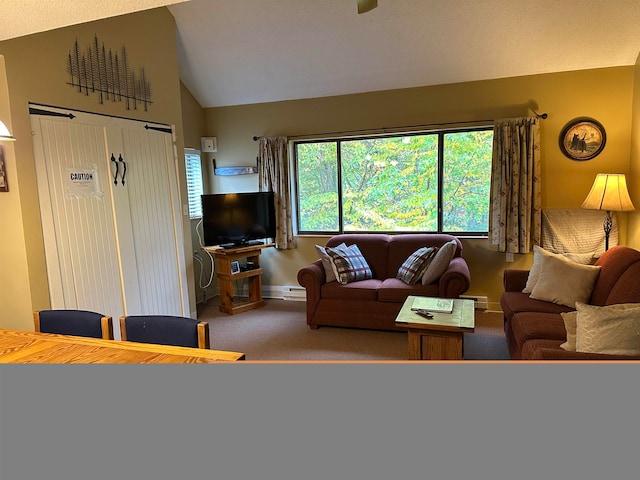 carpeted living room with lofted ceiling and baseboard heating