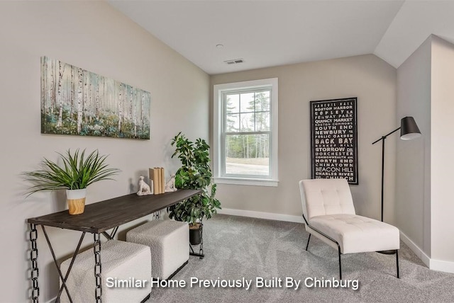 office space with light colored carpet and vaulted ceiling