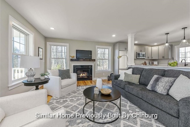 living room with light hardwood / wood-style floors and sink