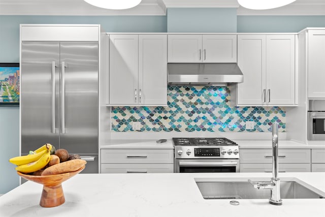 kitchen featuring decorative backsplash, premium appliances, exhaust hood, and white cabinets