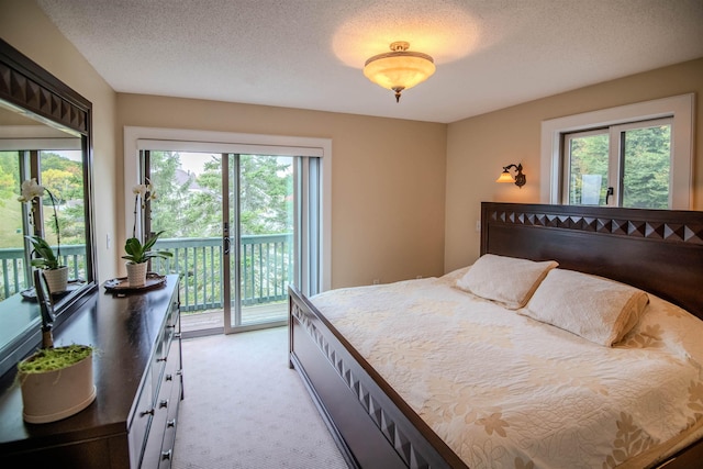 226 Okemo Trailside Ext Unit 47C, Ludlow, VT 05149 - bedroom featuring multiple windows, a textured ceiling, access to exterior, and light carpet