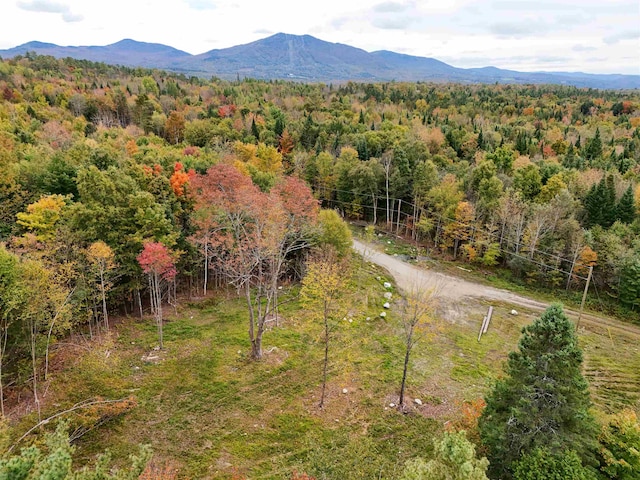 000 Burke Green Rd, Burke VT, 05832 land for sale