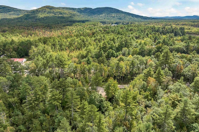 LOT11 Rte 25 E, Ossipee NH, 03814 land for sale