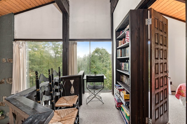 interior space with lofted ceiling and wooden ceiling