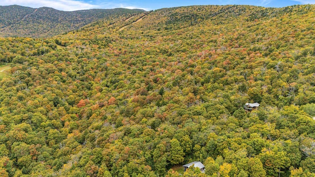 bird's eye view featuring a mountain view