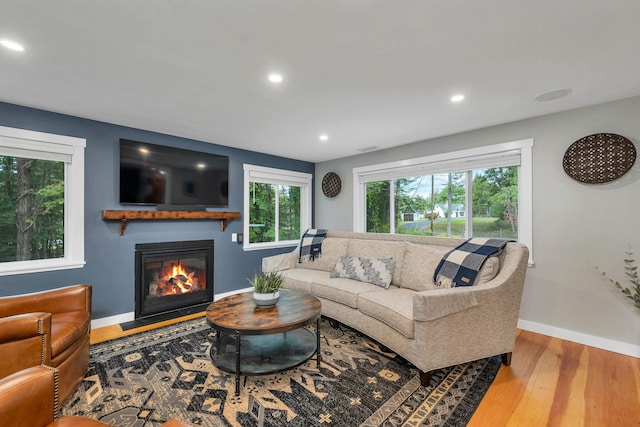 living room featuring hardwood / wood-style flooring