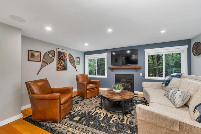 living room featuring hardwood / wood-style floors