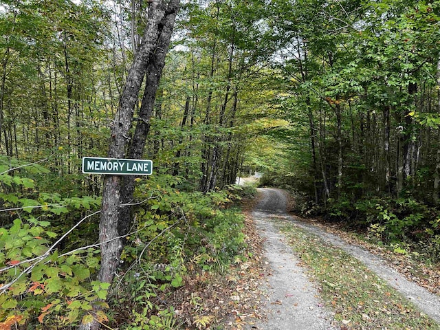 view of road with a forest view