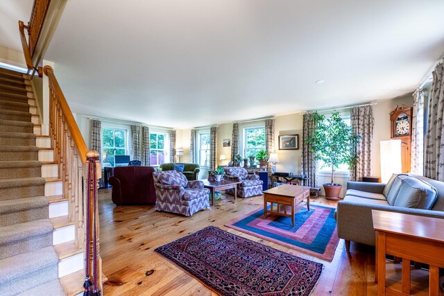 living room featuring a healthy amount of sunlight and wood-type flooring