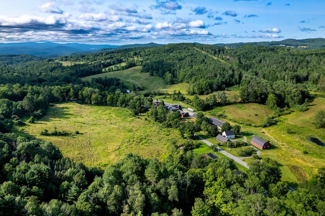 aerial view with a mountain view