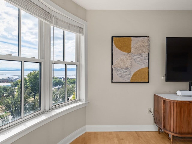 office featuring a healthy amount of sunlight and light hardwood / wood-style flooring