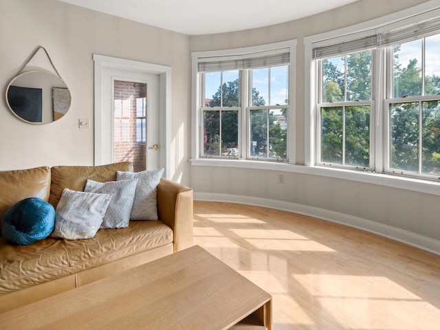 living room with hardwood / wood-style flooring