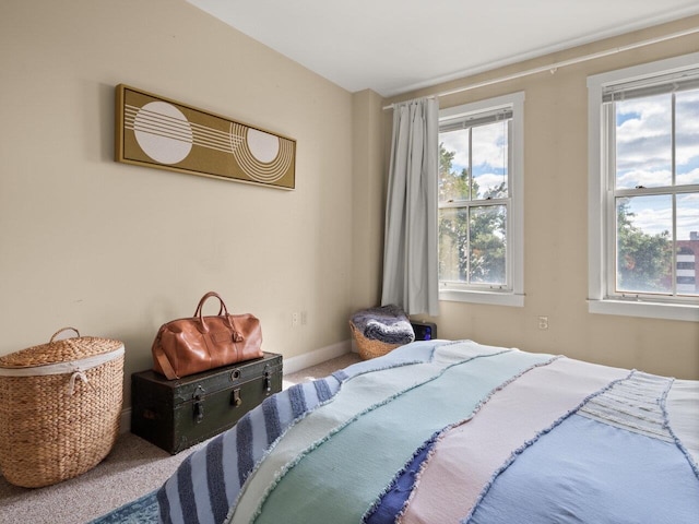 bedroom with carpet and multiple windows