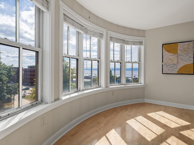 unfurnished room with light hardwood / wood-style floors