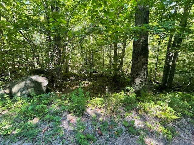 Listing photo 3 for 00 Whitney Rd, Henniker NH 03242