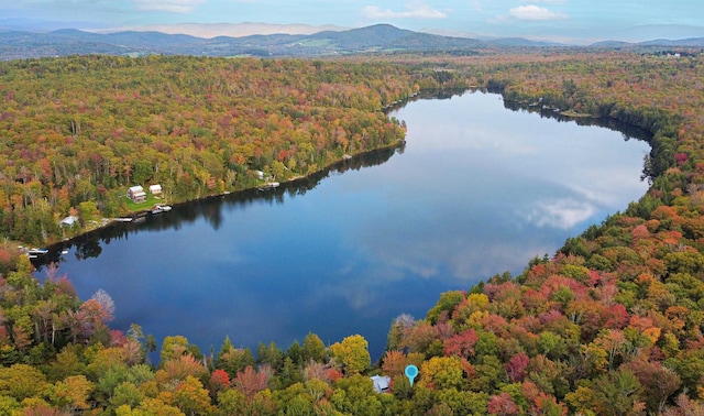 drone / aerial view featuring a water and mountain view